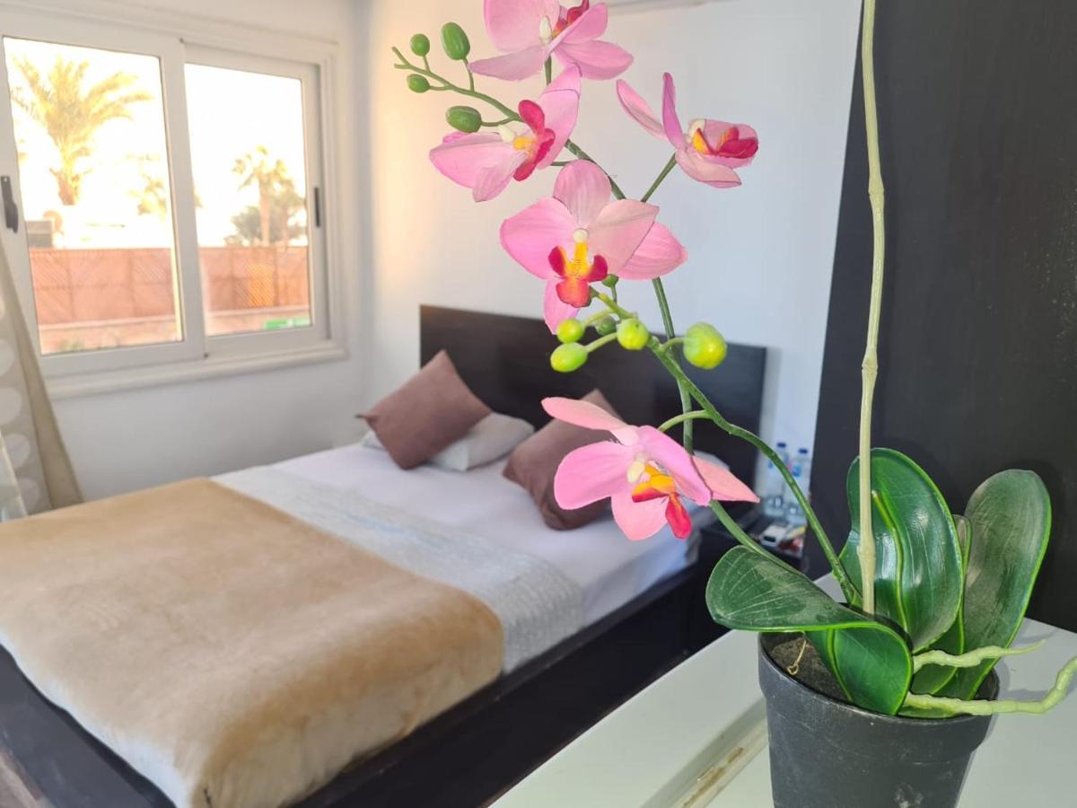 Lilly Lounge And Pool Accommodation For Adults Only Hurghada Exteriér fotografie